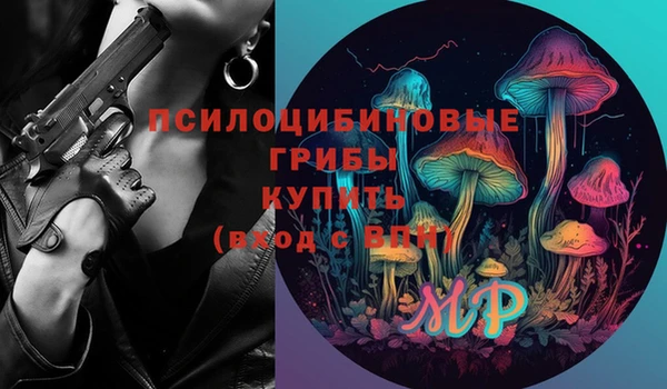 стафф Гусиноозёрск