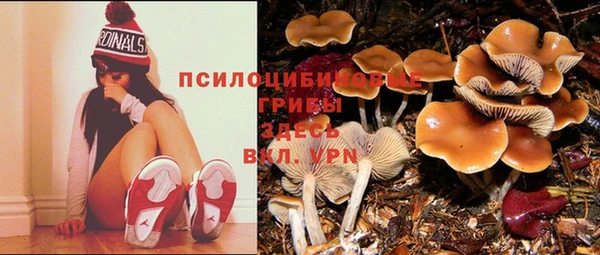 бутират Арсеньев