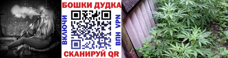 Бошки марихуана план Полярный